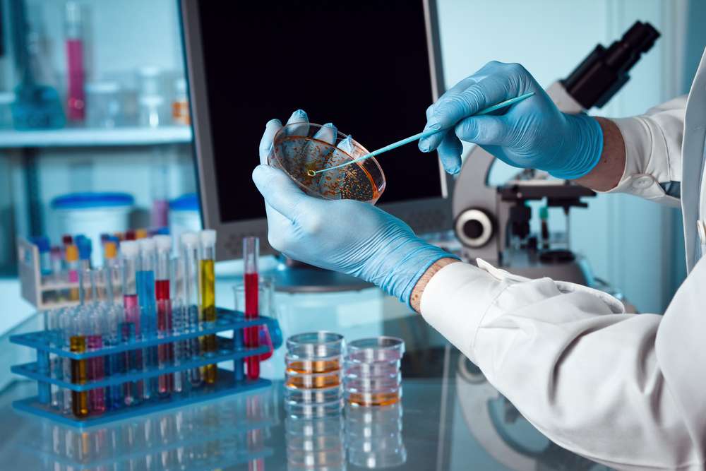 role of intellectual property in pharmaceutical